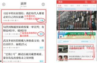 网曝热门事件2024网页版,揭秘网络舆论焦点