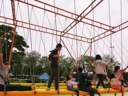 网红大秋千 网红大瓜在哪找,探寻网红大瓜的聚集地